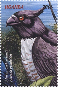 Águila "Baza Africana" ilustrando un sello de Uganda