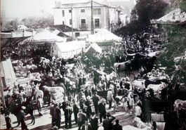 Feria de Baza, a mediados del siglo pasado. Foto cortesía de Estudio LUFRA