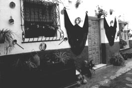 Participación vecinal ejemplar en la Semana Cultural de Avesan