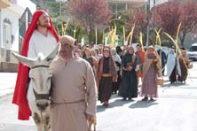 Domingo de Ramos