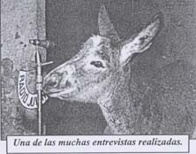 Una de las muchas entrevistas realizadas