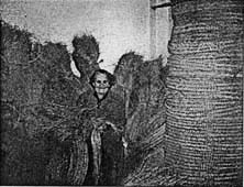 La Sierra de Baza cobij&oacute; muchos "emboscados"