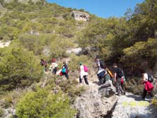 Foto: MANUEL CONTRERAS