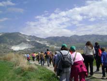 Foto: MANUEL CONTRERAS