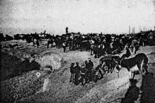 Imagen de archivo de la desaparecida Feria Chica, gran cita ferial de ganado en nuestra ciudad, en el pasado reciente.