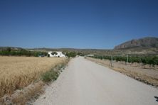 Camino del Alamillo. Foto: TO&Ntilde;I FRANCO