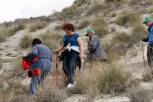 Foto: MANUEL CONTRERAS