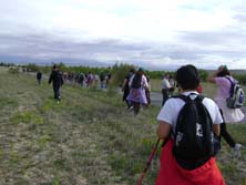 Foto: MANUEL CONTRERAS