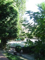 La Balsa de los Peces