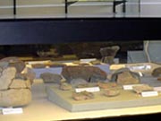 Vitrina del Museo Municipal