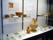 Vitrina del Museo Municipal