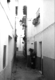 Calle Cojo Mojón