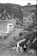 Paraje de la Sierra de Baza