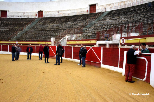 Suspension corrida_1622