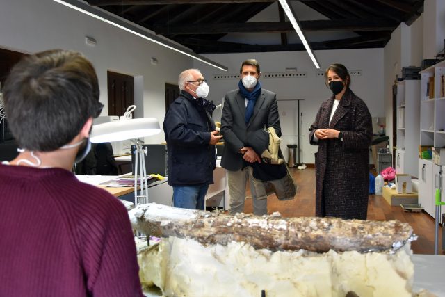 restauraciondefensamammut3