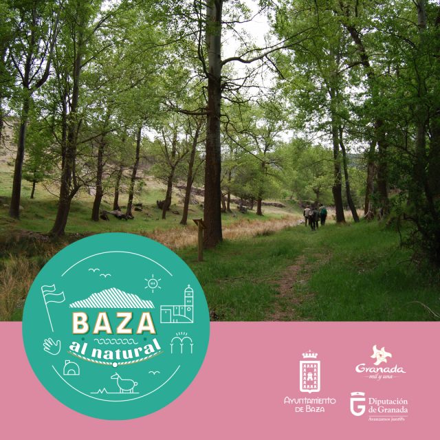 Cartel FITUR alamos-centenarios