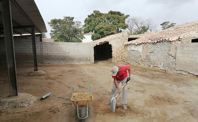 Desinfeccion de ganaderias afectadas por la viruela ovina