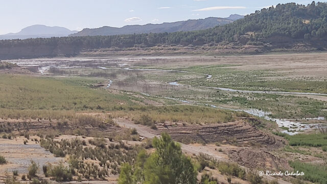 Pantano Negratin 20220929_09