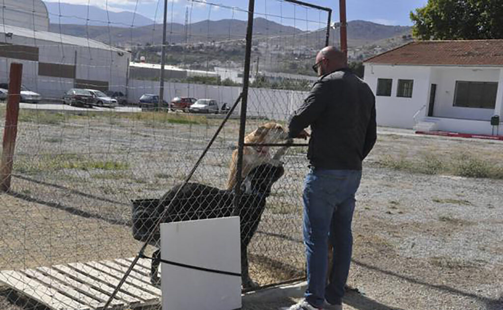 Viernes 20 de marzo de 2026