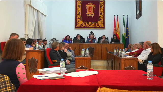 Pleno ordinario enero 2024