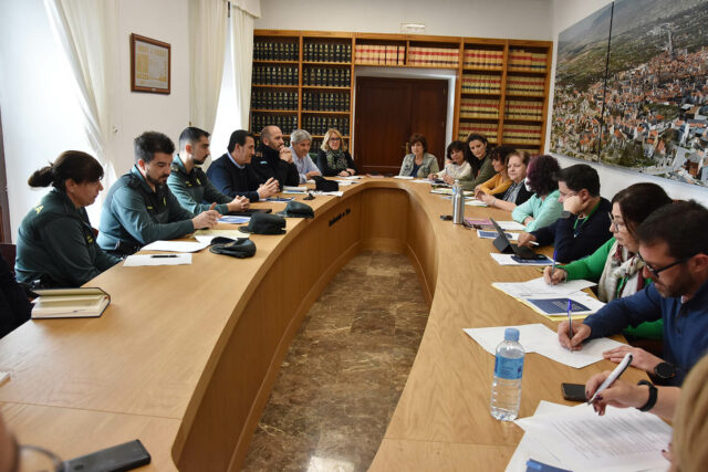 comisión violencia de género