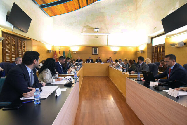 Np Pleno Mayo Diputacion en Guadix 2