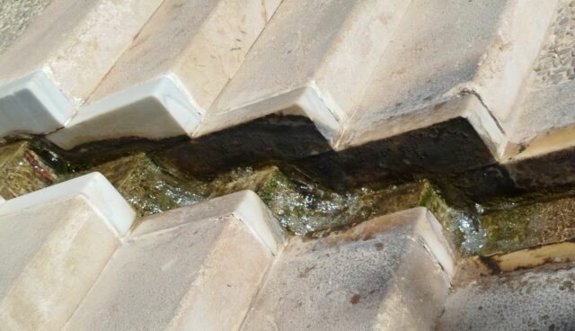 628 Contrastes y cambios