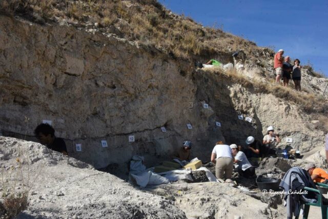 Yacimiento Baza_1 excavacion 20241005 (2)