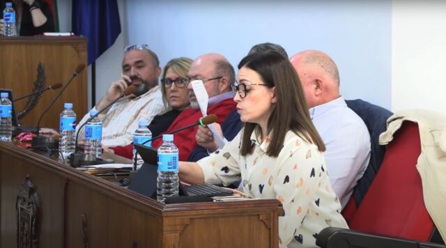 Pleno octubre_Lidia 2