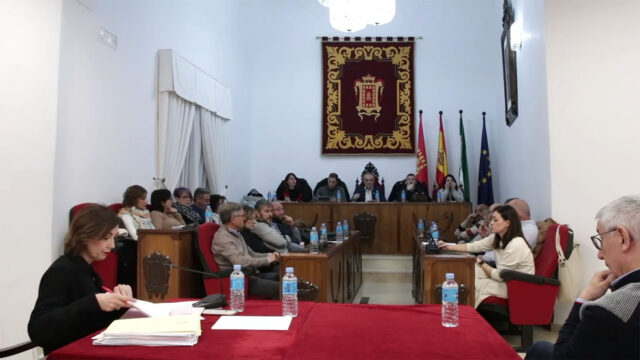 Pleno noviembre_vista general