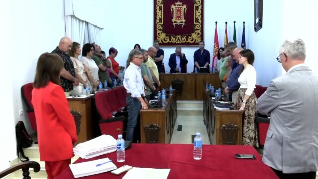 Pleno ordinario mayo 2025_1