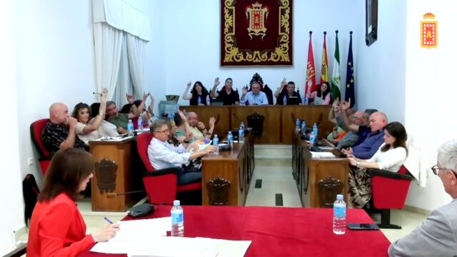 pleno mayo votación