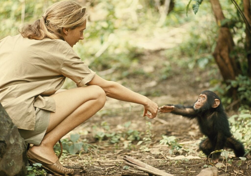 669. Jane Goodall