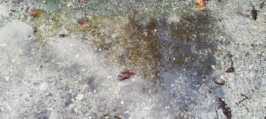 672. Lluvia de sangre