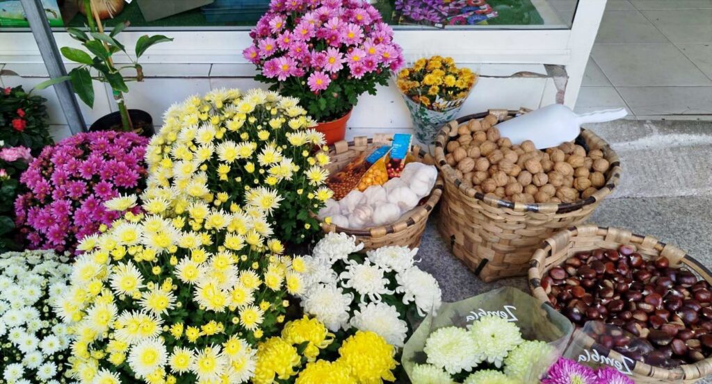 674. Si me dan a elegir