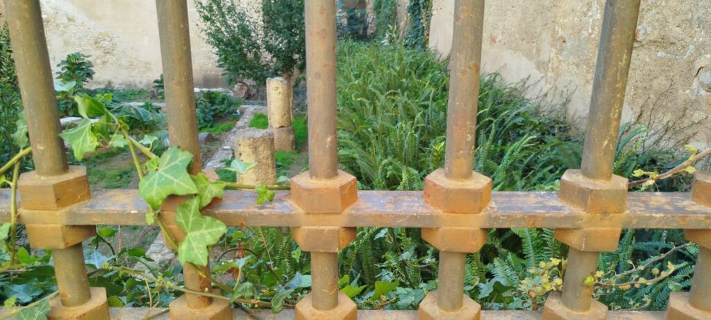 677. Corre que vuela