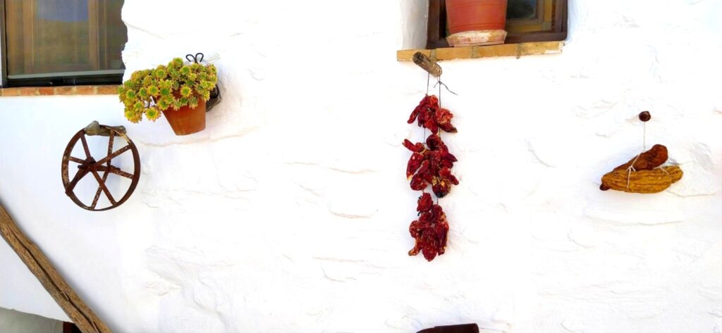 678. El valor de la memoria