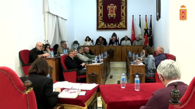 Pleno enero 2026 vista general