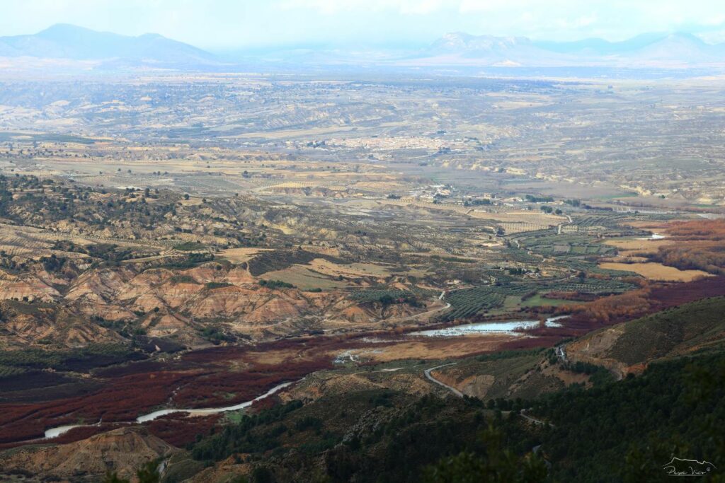 20. Necesitamos querer más a nuestra tierra