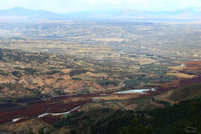 Embalse Negratin 10 feb 26_Pepe Vico_1