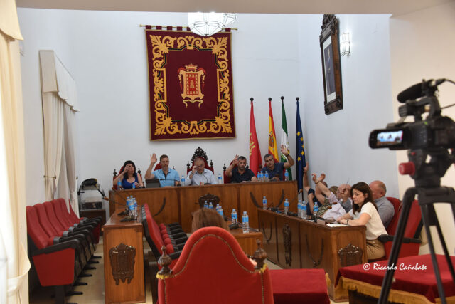 Pleno Extra Jardineros 8 junio (16)PP vota a favor