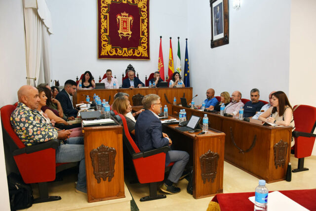 pleno ordinario de junio 2026
