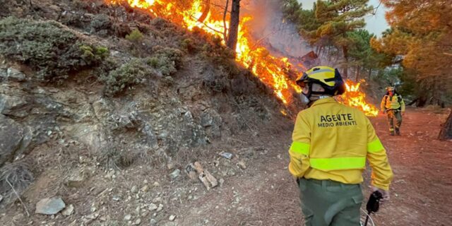 43 agentes-medioambientales incendio