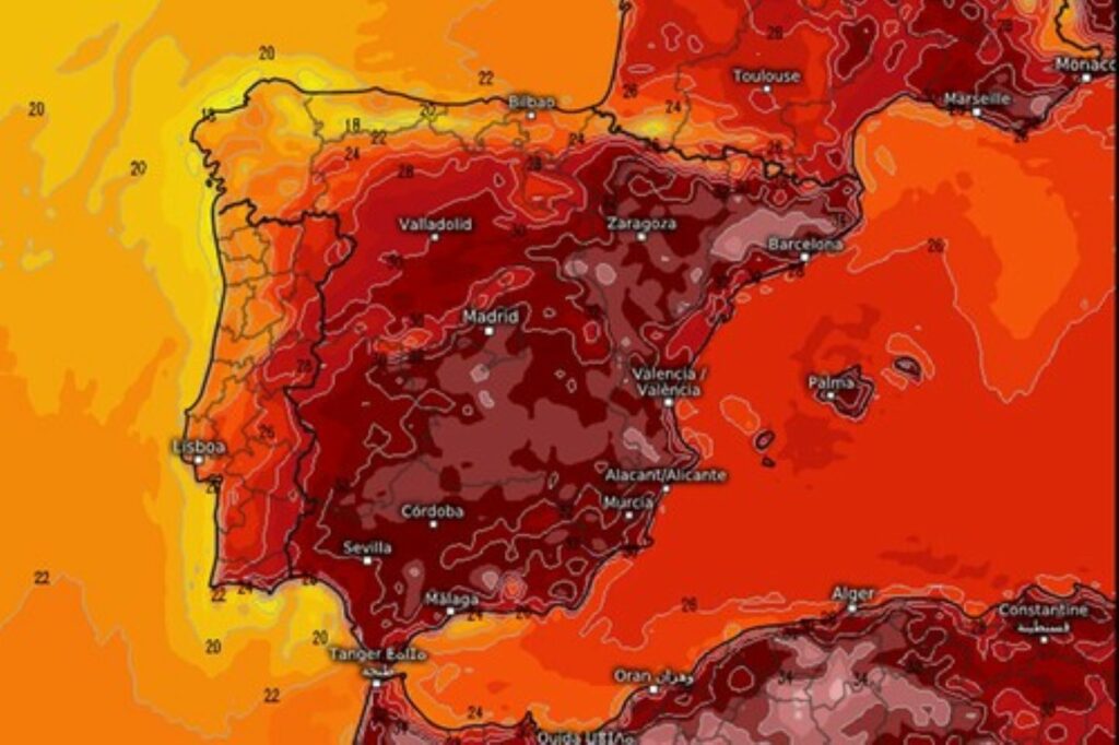 Miércoles 29 de Julio de 2026